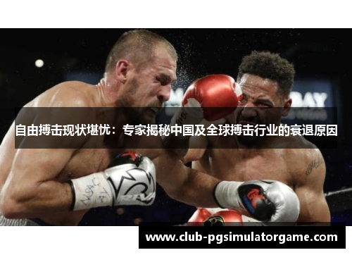 自由搏击现状堪忧：专家揭秘中国及全球搏击行业的衰退原因