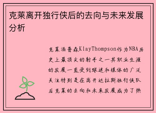 克莱离开独行侠后的去向与未来发展分析