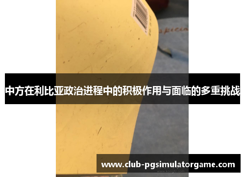 中方在利比亚政治进程中的积极作用与面临的多重挑战