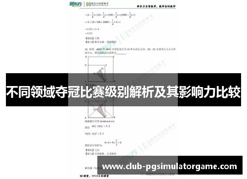 不同领域夺冠比赛级别解析及其影响力比较