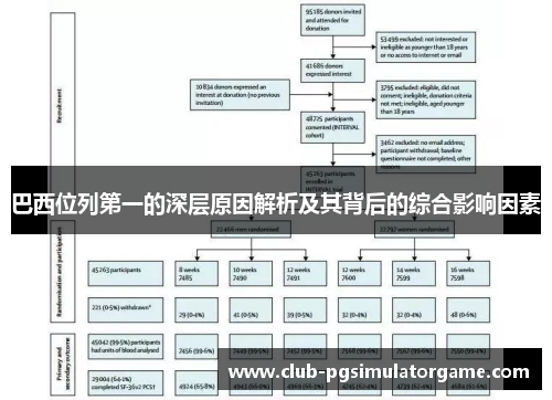 巴西位列第一的深层原因解析及其背后的综合影响因素