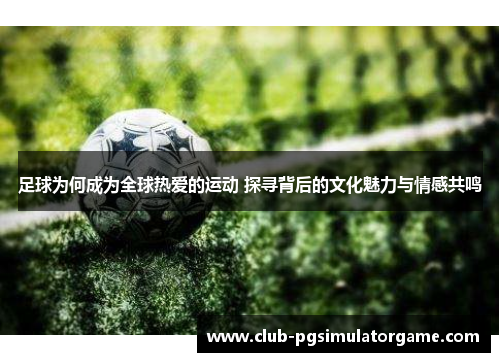 足球为何成为全球热爱的运动 探寻背后的文化魅力与情感共鸣