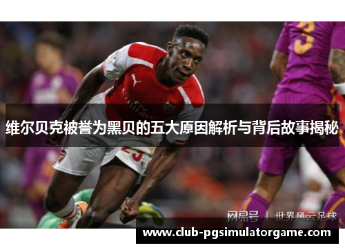 维尔贝克被誉为黑贝的五大原因解析与背后故事揭秘