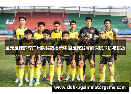 金元足球梦碎广州队解散揭示中国足球发展的深层危机与挑战 金元足球梦碎广州队解散揭示中国足球发展的深层危机与挑战