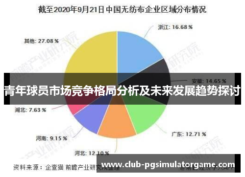 青年球员市场竞争格局分析及未来发展趋势探讨