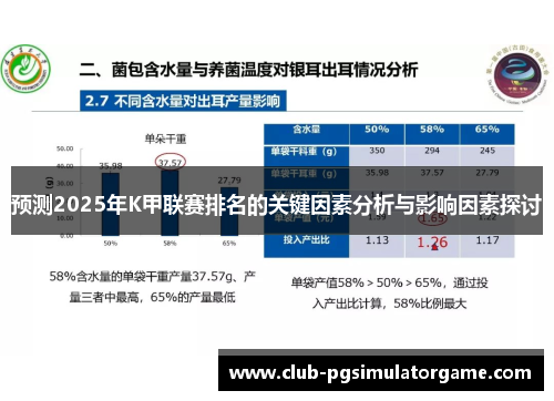 预测2025年K甲联赛排名的关键因素分析与影响因素探讨