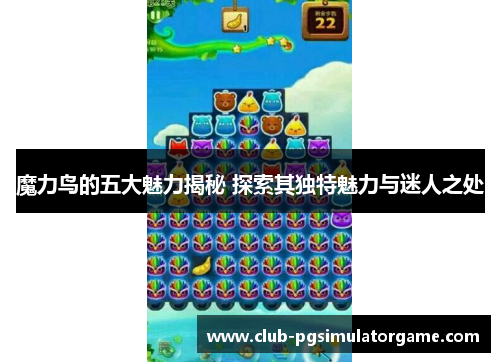 魔力鸟的五大魅力揭秘 探索其独特魅力与迷人之处