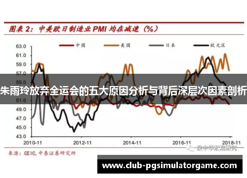 朱雨玲放弃全运会的五大原因分析与背后深层次因素剖析