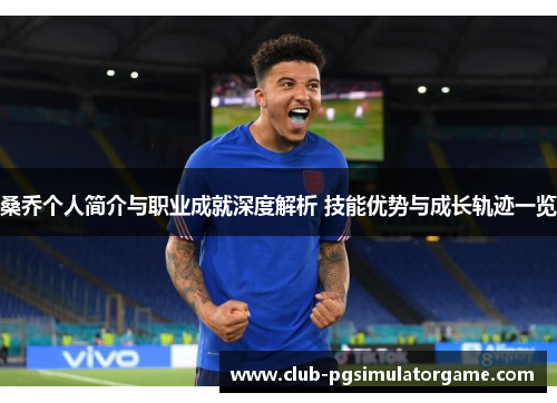 桑乔个人简介与职业成就深度解析 技能优势与成长轨迹一览 桑乔个人简介与职业成就深度解析 技能优势与成长轨迹一览