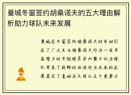 曼城冬窗签约胡桑诺夫的五大理由解析助力球队未来发展